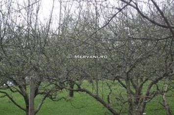 Teren de vânzare în Câmpina anunturi imobiliare Prahova