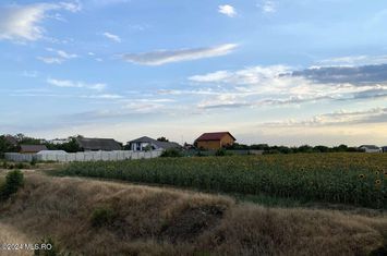 Tamasi, langa padure, 12.824 mp, deschidere 45 ml, teren cu potential anunturi imobiliare Bucuresti