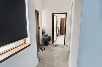 Vilă - 6 camere de vanzare DAMBOVITA - Timis anunturi imobiliare Timis