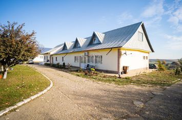 Casă / Vilă cu 20 camere si teren de vânzare In Popesti Iasi anunturi imobiliare Iasi