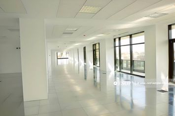 Birou de inchiriat POLONA - Bucuresti anunturi imobiliare Bucuresti