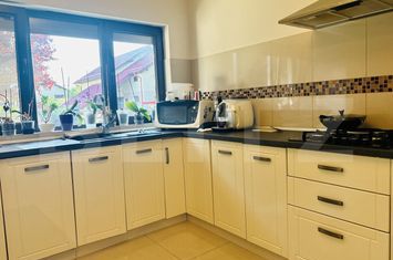 Vilă - 4 camere de vanzare DUMBRAVITA - Timis anunturi imobiliare Timis