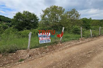 Teren Intravilan de vanzare CENTRAL - Alba anunturi imobiliare Alba