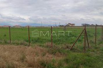 Teren de vanzare PREJMER - Brasov anunturi imobiliare Brasov