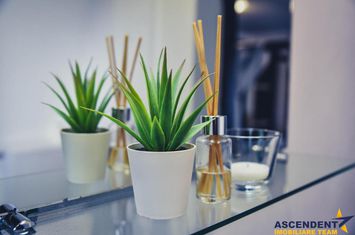 Spațiu comercial de inchiriat EXTERIOR EST - Brasov anunturi imobiliare Brasov