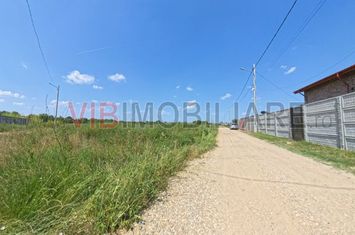 Racari - str Aleea cu Tecari - loturi teren intravilan anunturi imobiliare Dambovita