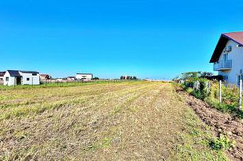 TUZLA - TEREN INTRAVILAN 963MP - APROAPE DE PLAJA - Comision 0% anunturi imobiliare Constanta
