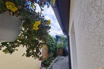 Vilă - 5 camere de vanzare GRIVITEI - Brasov anunturi imobiliare Brasov