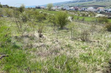 Teren de vanzare CHINTENI - Cluj anunturi imobiliare Cluj