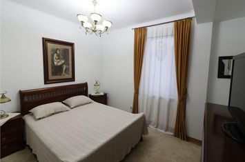 Vilă - 10 camere de vanzare BUCIUM - Iasi anunturi imobiliare Iasi
