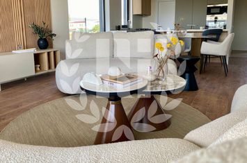 VILA DUPLEX BALOTESTI anunturi imobiliare Bucuresti