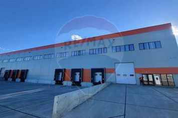 Spațiu industrial de închiriat 1.400mp - 15.000mp la E58 - IAȘI (Vest) anunturi imobiliare Iasi