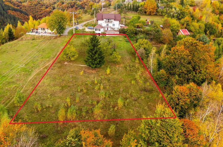 Teren Extravilan de vanzare EXTERIOR EST - Brasov anunturi imobiliare Brasov