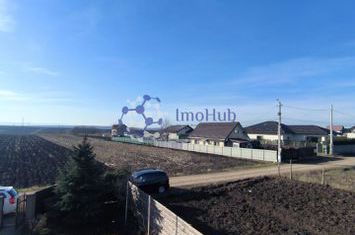 Teren BREAZU, 5000 MP, 50€ MP anunturi imobiliare Iasi