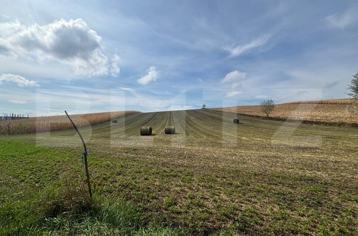 Teren de vanzare SUCEAVA - Suceava anunturi imobiliare Suceava