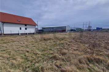 Teren Intravilan de vanzare OSORHEI - Bihor anunturi imobiliare Bihor
