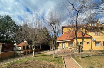 Pipera vila eleganta, spatioasa, garaj, piscina, gradina amenajata anunturi imobiliare Bucuresti