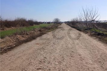 Teren Intravilan de vanzare BIHARIA  - Bihor anunturi imobiliare Bihor