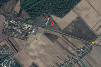 5 loturi de teren langa padure langa lacul Colacu, Dambovita anunturi imobiliare Dambovita