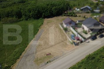 Teren de vanzare BARNOVA - Iasi anunturi imobiliare Iasi