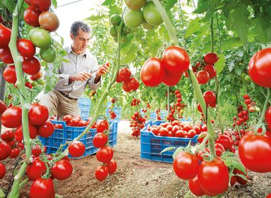 Ce face cel mai bogat israelian cu 10.000 de hectare de terenuri din România