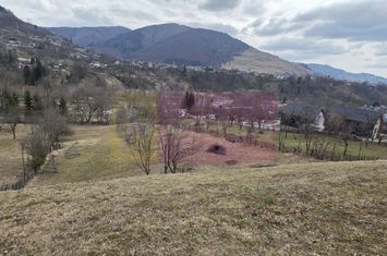 Teren intravilan de vanzare in Valea Doftanei anunturi imobiliare Prahova