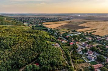 Teren pe deal, 1.150 mp, în Miniș, front 26 m, Drumul Vinului anunturi imobiliare Arad