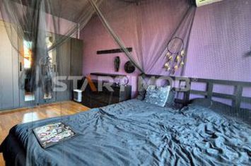 Apartament zona Tribunalului pet friendly anunturi imobiliare Brasov