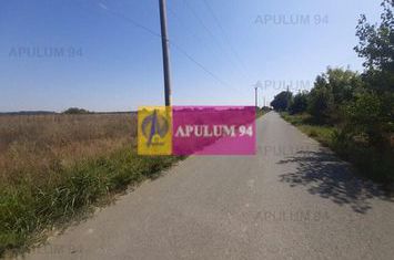 Teren pentru case in 1 Decembrie anunturi imobiliare Bucuresti