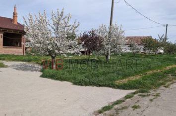 Ferma Zootehnică Mixtă – Cernateaz, Timiș | 9,5 ha | Hale Moderne, Casă 2019, Utilități Industriale anunturi imobiliare Timis