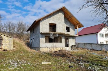 Vilă - 5 camere de vanzare BUCIUM - Iasi anunturi imobiliare Iasi