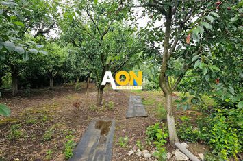 Casa 4 camere, S+P+1, semifinisata, 1424 mp teren, Oarda de Jos anunturi imobiliare Alba