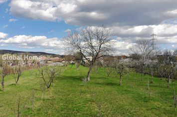 Teren de vanzare CORNU DE JOS (CORNU) - Prahova anunturi imobiliare Prahova
