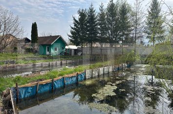 Casă - 1 camere de vanzare PREJMER - Brasov anunturi imobiliare Brasov