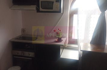 Garsoniera in vila Kiseleff- Arcul De Triumf. anunturi imobiliare Bucuresti