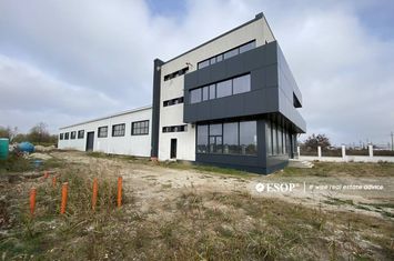Spațiu industrial de vanzare MAGURELE - Bucuresti anunturi imobiliare Bucuresti