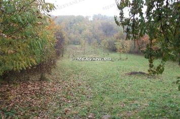 Teren de vânzare în Bănești (zona Semicentrală) anunturi imobiliare Prahova