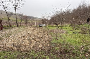 Teren de vanzare GHERCESTI - Dolj anunturi imobiliare Dolj