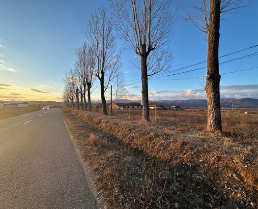 Teren Tetila, 25000 mp