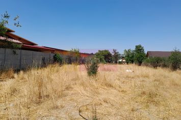 Teisori (Giurgiu) - teren 1800 mp de vanzare anunturi imobiliare Giurgiu