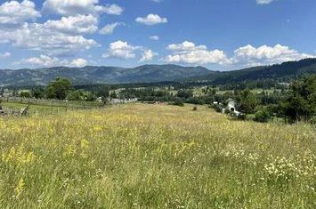 Vand teren Neagra Sarului, langa Vatra Dornei, 0% Comision anunturi imobiliare Suceava