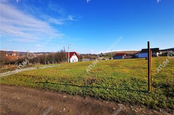 Teren Intravilan de vanzare HAMBA - Sibiu anunturi imobiliare Sibiu