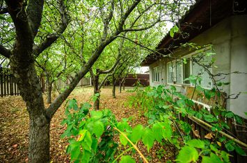 Casă - 3 camere de vanzare HORLESTI (REDIU) - Iasi anunturi imobiliare Iasi