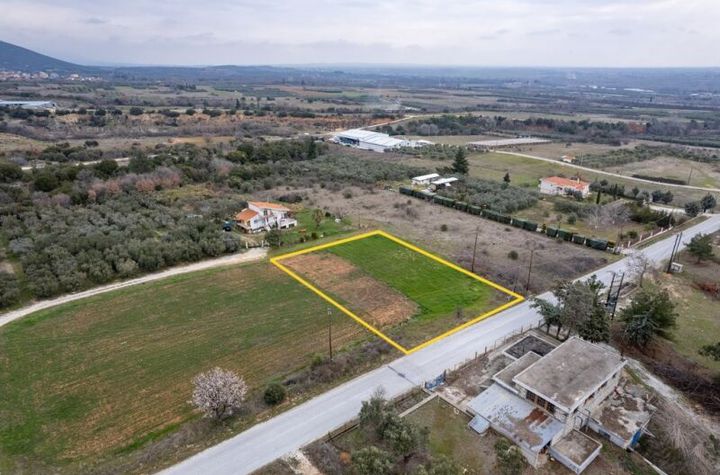 Teren agricol 1.590 mp în Zarkadia anunturi imobiliare Grecia