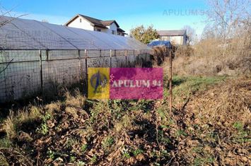 OCAZIE!!! Teren 700 mp de vanzare in Jilava (central) anunturi imobiliare Bucuresti