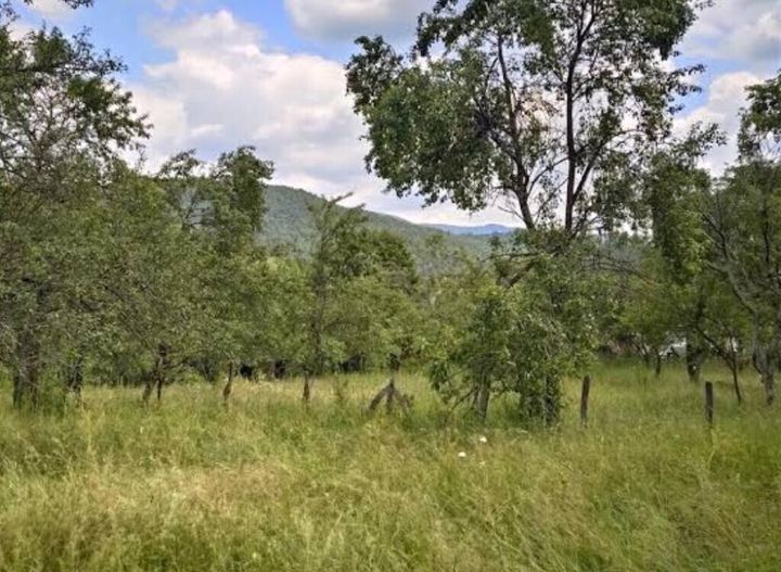 Teren Intravilan de vanzare SANPETRU - Brasov anunturi imobiliare Brasov