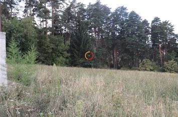 Teren Intravilan de vanzare SACELE - Brasov anunturi imobiliare Brasov
