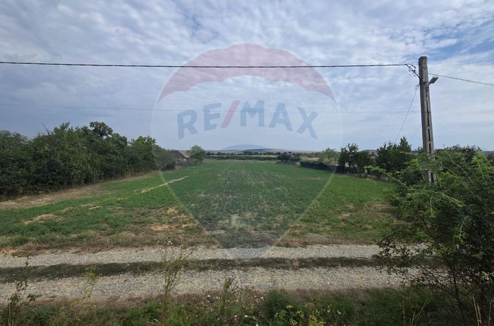 Teren 6,672mp Todiresti / Intrarea HUC anunturi imobiliare Vaslui