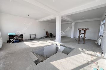 Vilă - 2 camere de inchiriat GUSTERITA - Sibiu anunturi imobiliare Sibiu