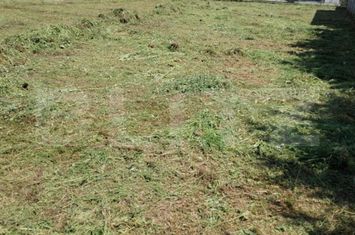 Teren de vanzare DUMBRAVITA - Timis anunturi imobiliare Timis